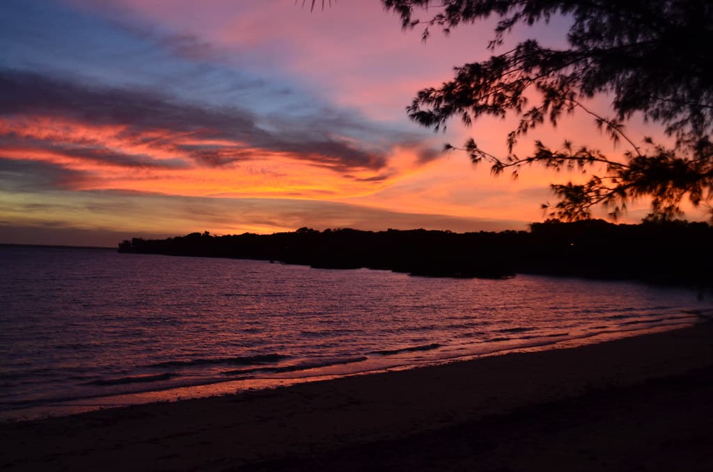 Discover the best of Darwin